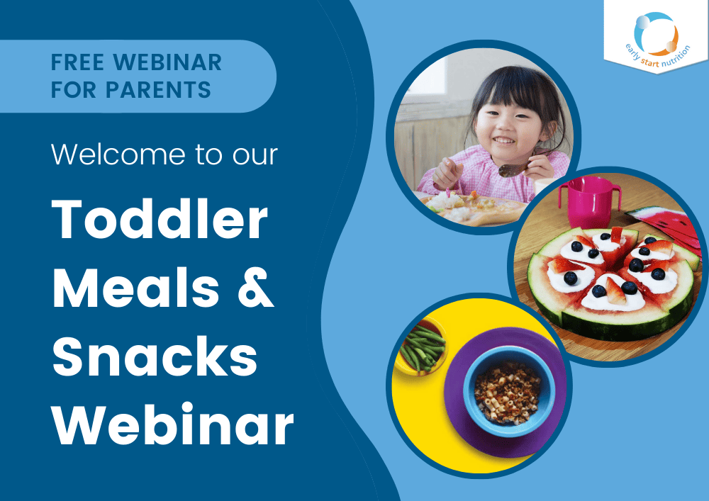 Toddler Meals and Snacks Webinar